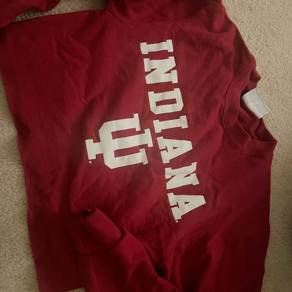 IU cropped sweatshirt